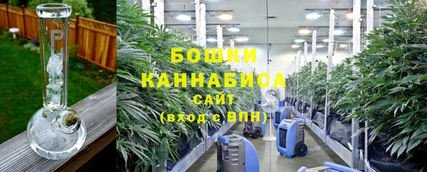 гидра Алексеевка