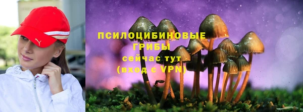 гидра Алексеевка