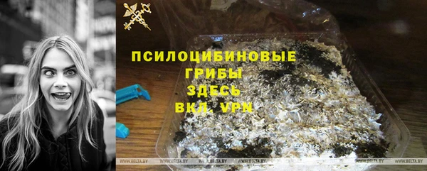 стафф Арсеньев