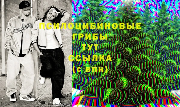 МДПВ Аркадак