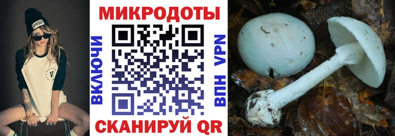 hydra зеркало  Асбест  Псилоцибиновые грибы GOLDEN TEACHER 
